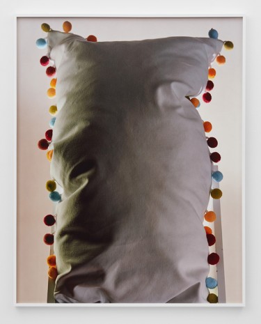 Torbjørn Rødland, Vertical Pillow, 2017 , David Kordansky Gallery