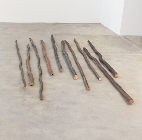 Ximena Garrido-Lecca, Transmutations - Assemblage II, 2018, Galerie Gisela Capitain