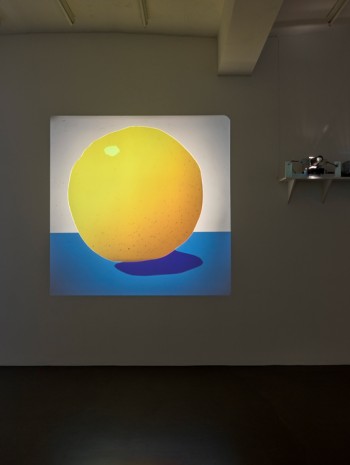 João Maria Gusmão + Pedro Paiva, Green Orange, 2018 , Sies + Höke Galerie