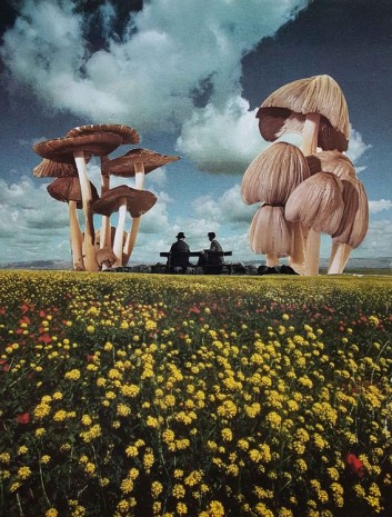 Jasmine Bertusi, Magic Mushrooms, 2016, Lia Rumma Gallery