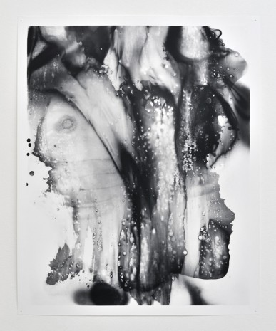 Eileen Quinlan,  No One Sleeps, 2014 , Marianne Boesky Gallery
