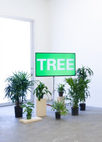 Kerry Tribe, Forest for the Trees, 2015 , Praz-Delavallade