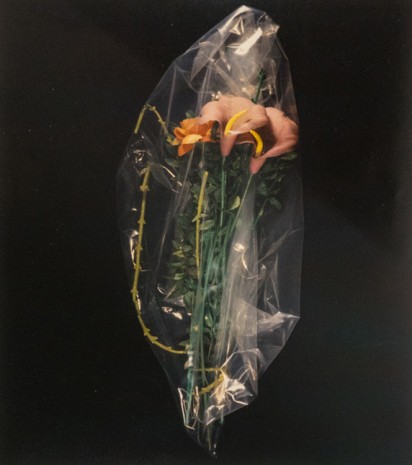 Lynn Hershman, Flowers from Roberta’s Exorcism in Plastic, 1978 , ShanghART