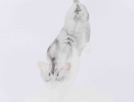 Wang Yuping, Cat 1, 2018, Tang Contemporary Art