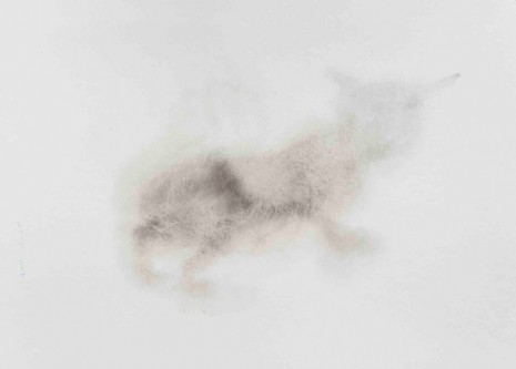 Wang Yuping, Cat 4, 2018, Tang Contemporary Art
