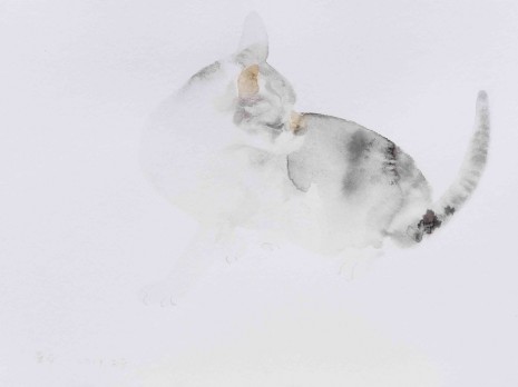 Wang Yuping, Cat 2, 2018, Tang Contemporary Art