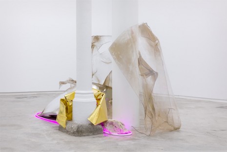 Lucía C.Pino, Integumenta, 2018, Galería Heinrich Ehrhardt