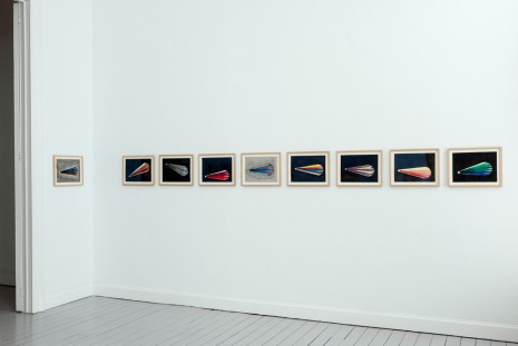 Sara Sejin Chang (Sara van der Heide), Claim to Universality Colour Theory Exercise 1-20, 2011-2012 , Gladstone Gallery