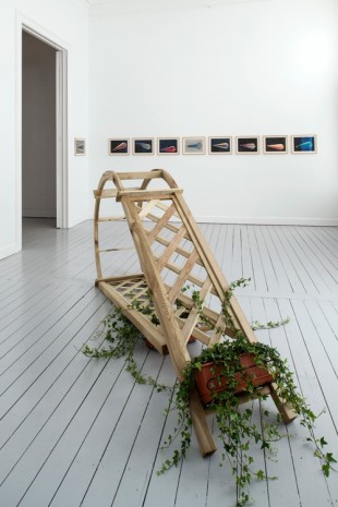 Trevor Yeung, Hedera, 2012 , Gladstone Gallery