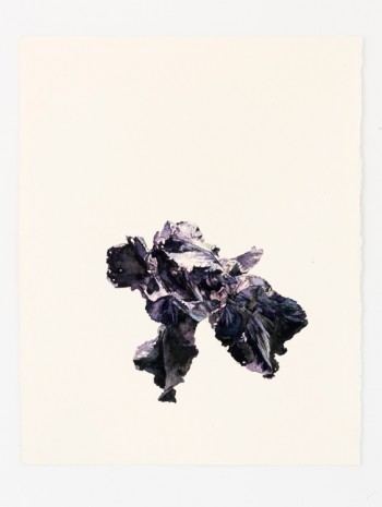 Patrick Neu, Iris (2013/10), 2013, Galerie Thaddaeus Ropac