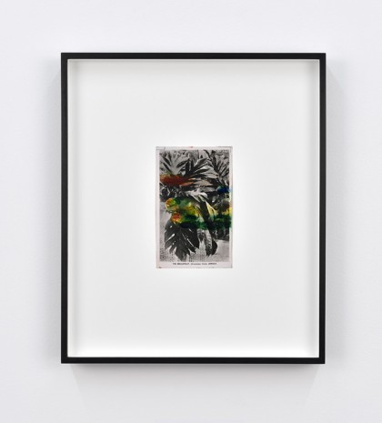 Tacita Dean, Found Postcard Monoprint (The Breadfruit), 2018, Marian Goodman Gallery