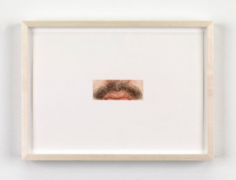Ellen Altfest, Moustache, 2011, François Ghebaly Gallery