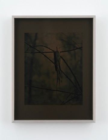 Sam Falls, Paper Skin, 2018 , 303 Gallery