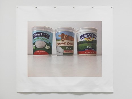 B. Wurtz, Untitled (Yogurts), 2018 , Metro Pictures