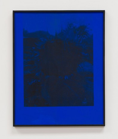 James Herman, Sunflower (blue), 2018 , Ibid