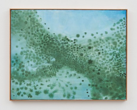 Thiago Rocha Pitta, seascape with cyanobacteria, 2017 , Marianne Boesky Gallery