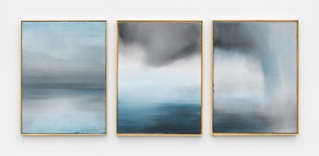Thiago Rocha Pitta, sublimation, condensation, and precipitation, 2018 , Marianne Boesky Gallery