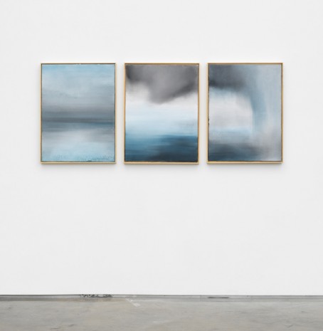 Thiago Rocha Pitta, sublimation, condensation, and precipitation, 2018 , Marianne Boesky Gallery