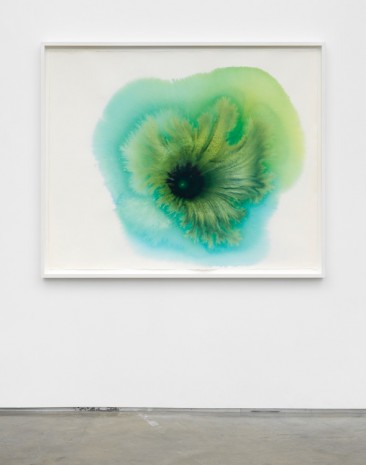 Thiago Rocha Pitta, portraits of a cyanobacteria, 2018 , Marianne Boesky Gallery