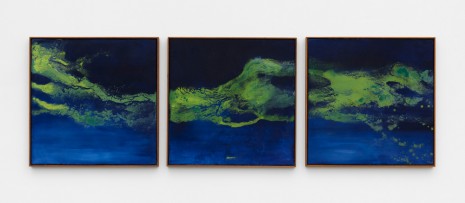 Thiago Rocha Pitta, landscape with cyanobacteria, 2018 , Marianne Boesky Gallery