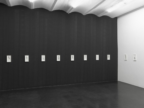 Lutz Bacher, Hair Drawings, 2010 , Galerie Buchholz