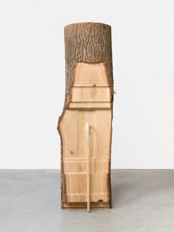 Alicja Kwade, awalkingstickisawalkingstickisawalkingstick, 2018 , König Galerie