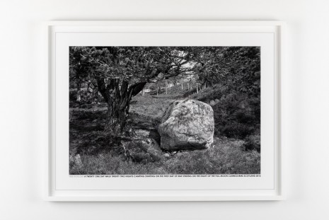 Hamish Fulton, Tree Boulder, Scotland 2016, , Galleri Riis