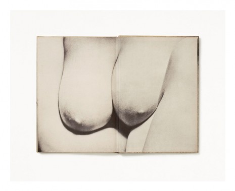 Anne Collier, Endpapers #1 (Nude Landscapes, Arnie Hedin), 2011, Anton Kern Gallery