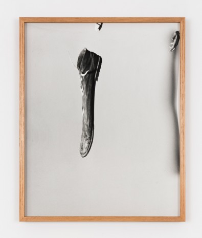 Joāo Maria Gusmāo + Pedro Paiva, Clown shoe, 2018, Andrew Kreps Gallery