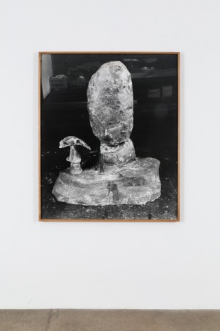 Joāo Maria Gusmāo + Pedro Paiva, Untitled (sculpture with parrot), 2018, Andrew Kreps Gallery