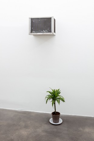 Mika Rottenberg, ac and plant sculpture, 2018, Sprüth Magers