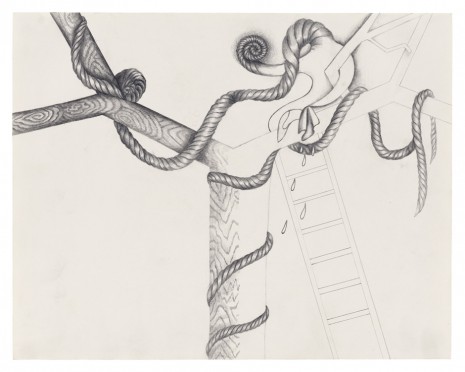 Suellen Rocca, Rope Tree and Ladder IV, 1991 , Matthew Marks Gallery
