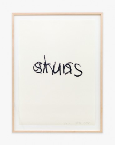 Richard Hell + Christopher Wool, Anus/Stuns, 2008, Venus Over Manhattan
