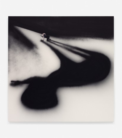 Tala Madani, The Shadow, 2018 , 303 Gallery