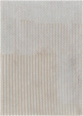 Sergej Jensen, Beige Net, 2018 , Galerie Buchholz