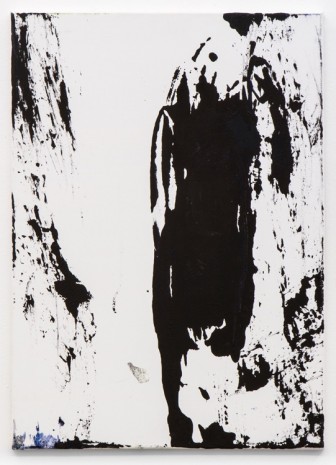 Éva Bodnár, fallingwater 2, 2012 , Galerie Elisabeth & Klaus Thoman