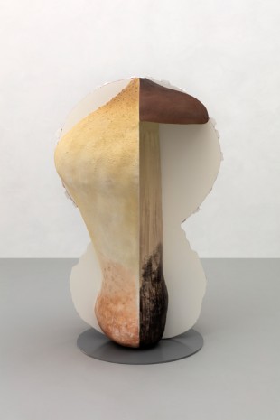 Carsten Höller, Giant Triple Mushroom, 2018, MASSIMODECARLO