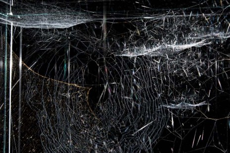 Tomás Saraceno, Hybrid solitary semi-social solitary SAO 62297 built by: a solo Nephila senegalensis - three weeks, a sextet of Cyrtophora citricola - two weeks, a solo Fecenia sp. - two weeks, 2018, Tanya Bonakdar Gallery