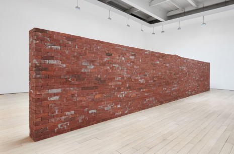 Jorge Méndez Blake, Amerika, 2019 , James Cohan Gallery