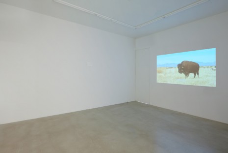 Edgardo Aragón, El paso, hombre invisible, 2014 , James Cohan Gallery