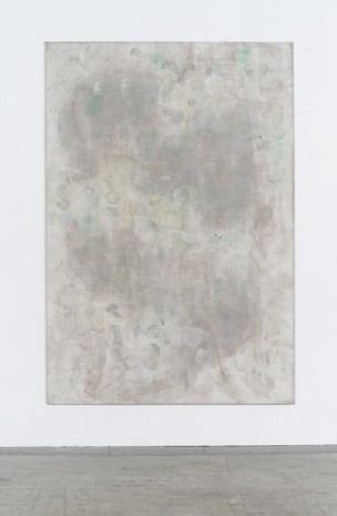 Erwin Gross, Jatropha 1, 2017, Galerie Bernd Kugler