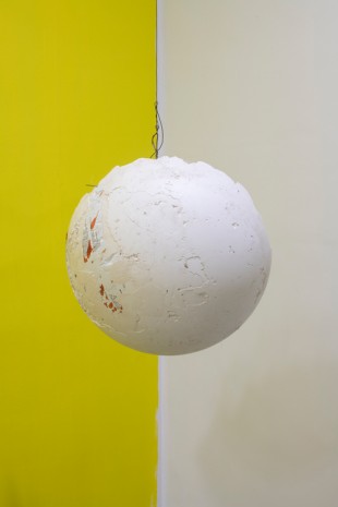 David Douard, Braincel, 2019, Galerie Chantal Crousel