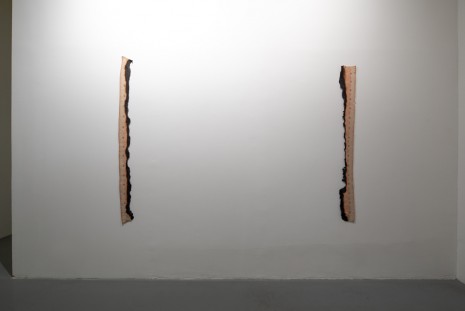 Edith Dekyndt, Recognition of life as power, 2019, VNH Gallery