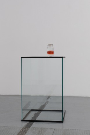 Edith Dekyndt, Laboratory 03 (orange in jar) n° 1, 2019 , VNH Gallery