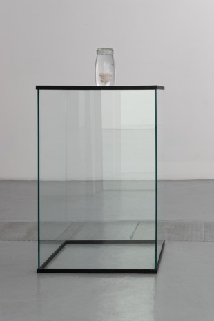 Edith Dekyndt, Laboratory 03 (rose in jar) n°1, 2019 , VNH Gallery