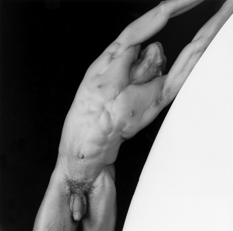 Robert Mapplethorpe, Thomas, 1986, Mai 36 Galerie