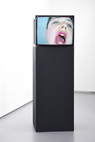 Patrycja German, 1-2 Kuss, 2007, Galerie Bernd Kugler