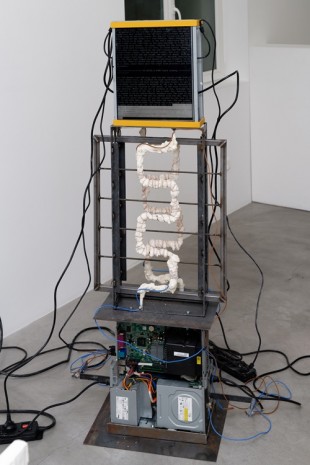 Pierre Gaignard, COM9 PYTHON CHELOU, 2019 , Galerie Bertrand Grimont