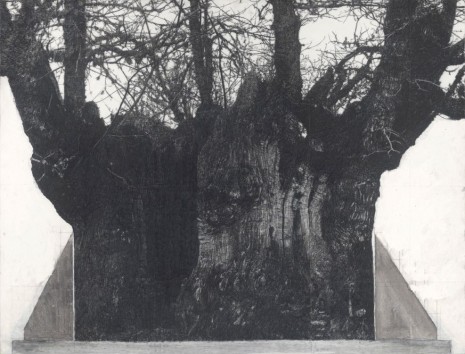 Patrick Van Caeckenbergh, Drawing of old trees on wintry days during 2007-2014 , 2007 - 2014 , Zeno X Gallery
