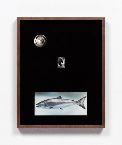Elad Lassry, Untitled (Boots, King Salmon), 2018 , 303 Gallery